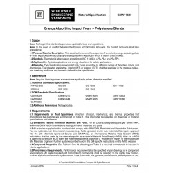 GMW17637-2024